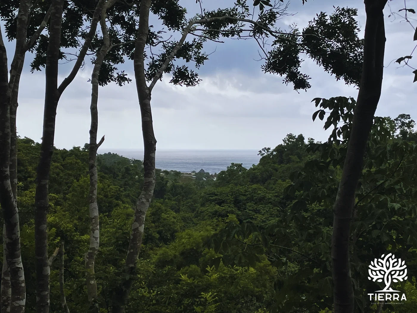 Vista a la costa